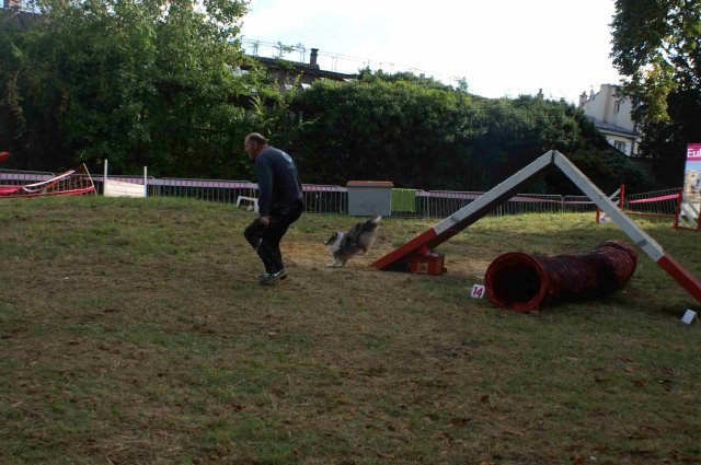 foire-haricots 2011-09-17et18